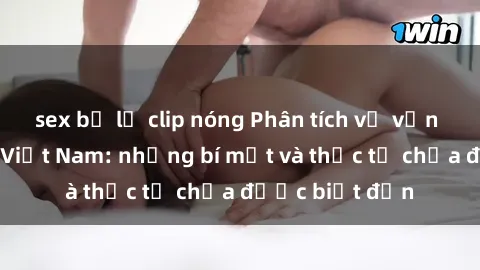 sex bị lộ clip nóng Phân tích về vấn đề sex bà mẹ Việt Nam: những bí mật và thực tế chưa được biết đến